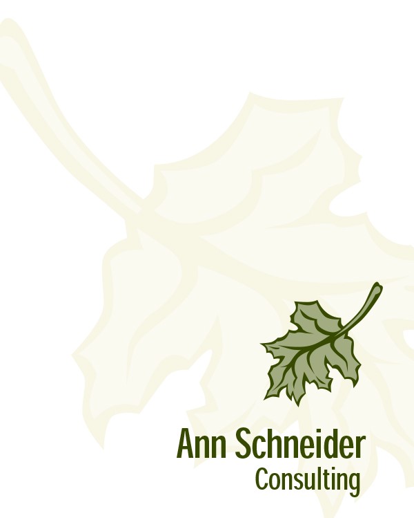 Ann Schneider Consulting